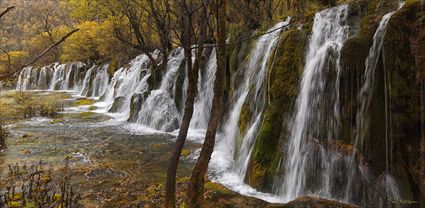 Jiuzhaigou National Park - China T (PBH4 00 15389)